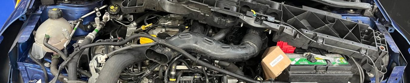 WhatsApp Image 2025-09-01 at 14.10.57 copy 3